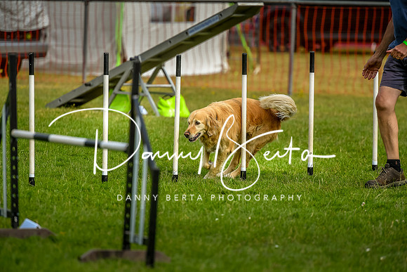 DAN_6136