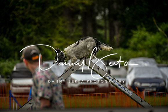 DAN_0086