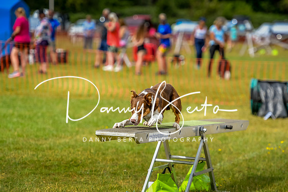DAN_7045