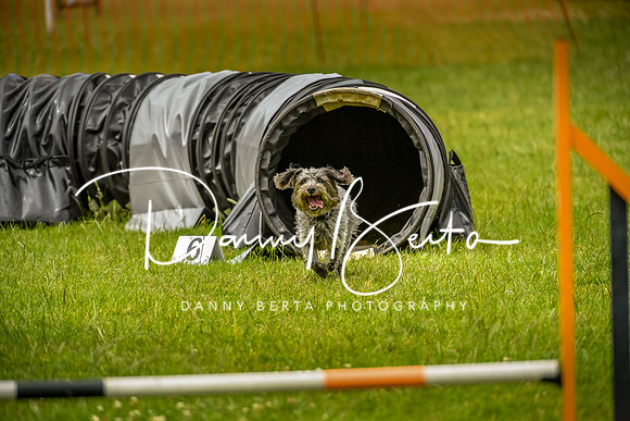 DAN_0612