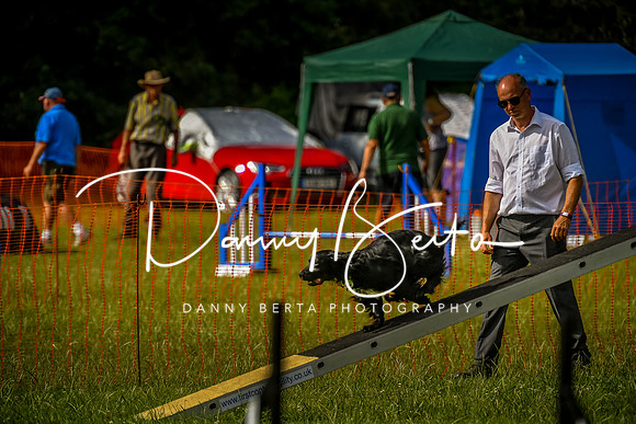 DAN_9004