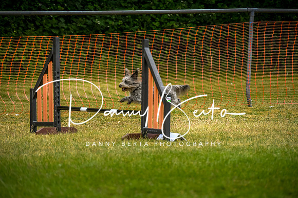 DAN_0779