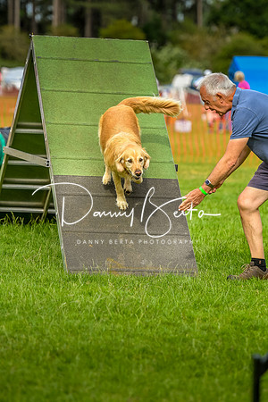 DAN_6162