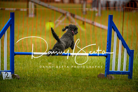 DAN_4094