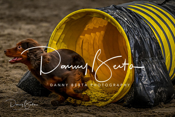 DAN_1800