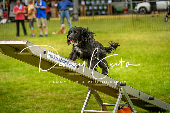 DAN_0635