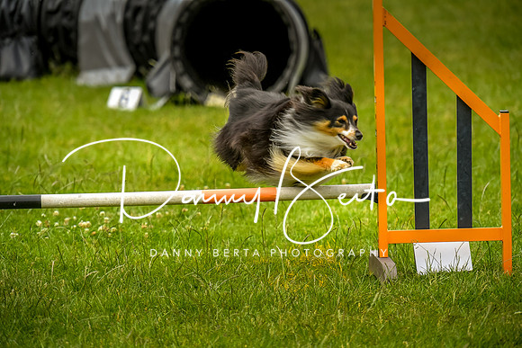DAN_0631
