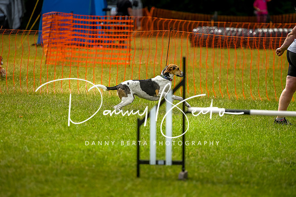DAN_6994