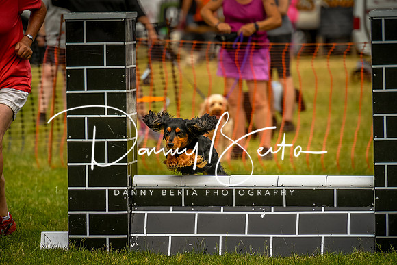 DAN_0099