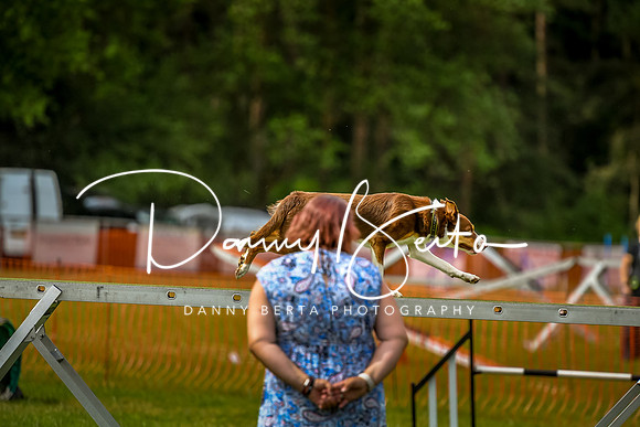 DAN_7040