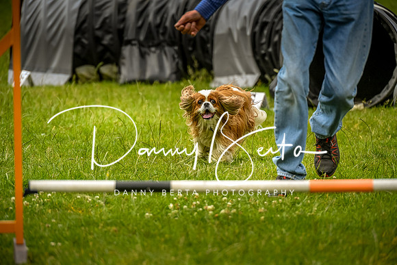 DAN_0600