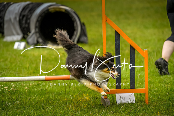 DAN_0632