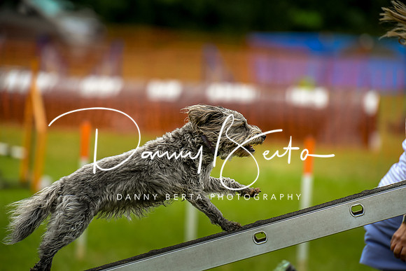 DAN_0607
