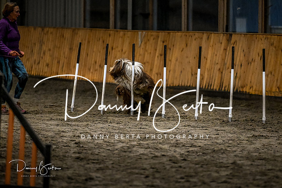 DAN_2077