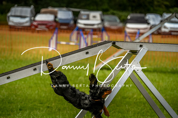 DAN_0103