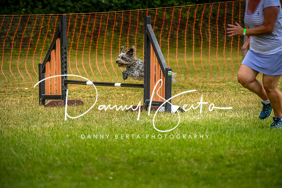 DAN_0781