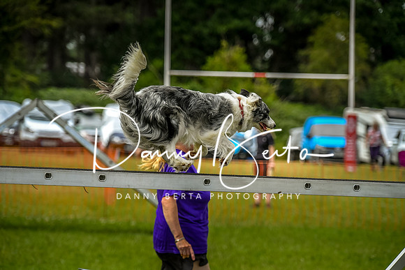 DAN_0176