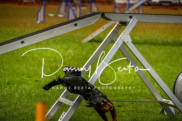 DAN_0104
