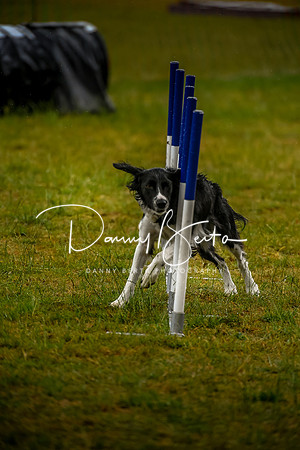 DAN_4081