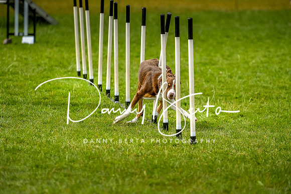 DAN_7035