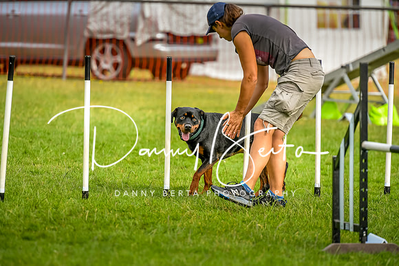 DAN_6165