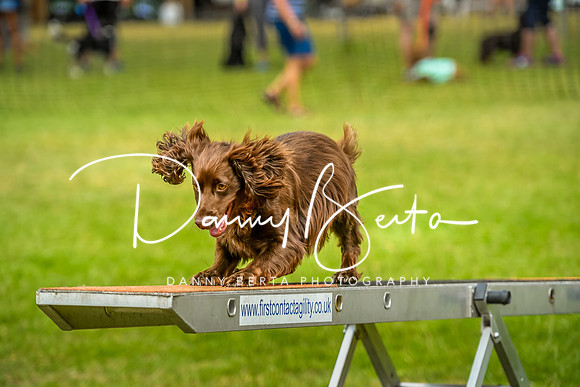DAN_0158
