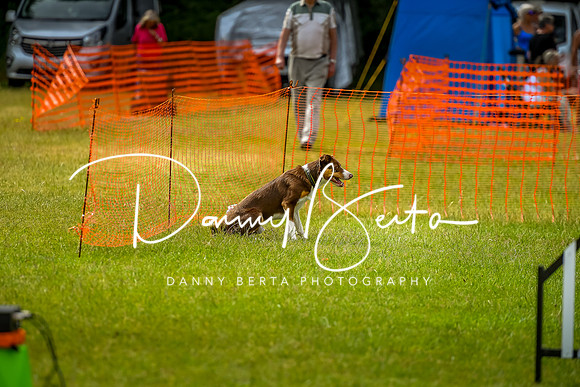 DAN_7024