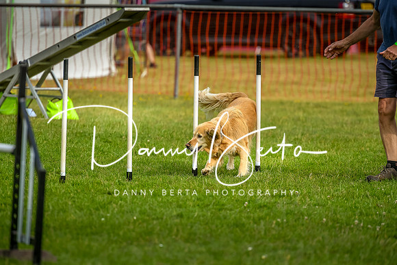 DAN_6135