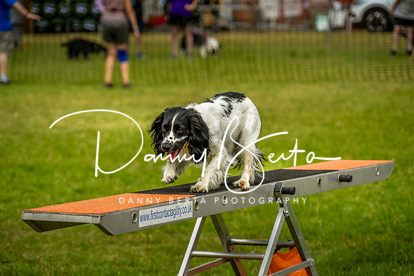 DAN_0081