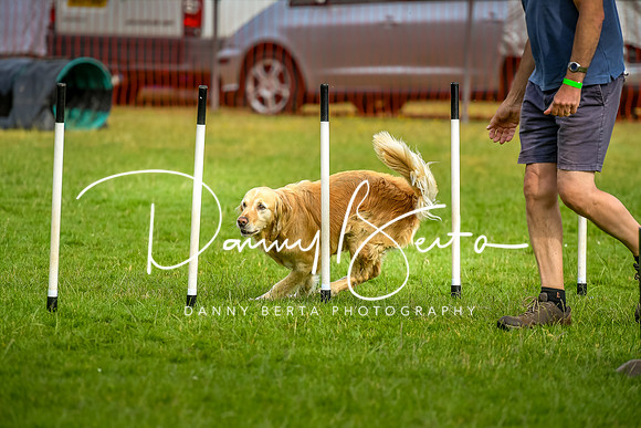DAN_6139