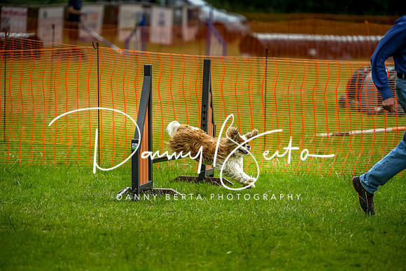 DAN_0757