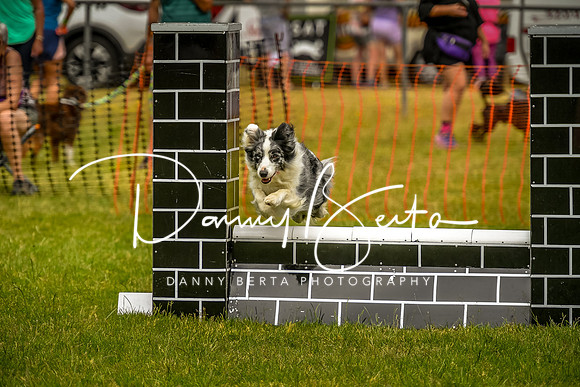 DAN_0170