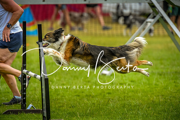 DAN_9781