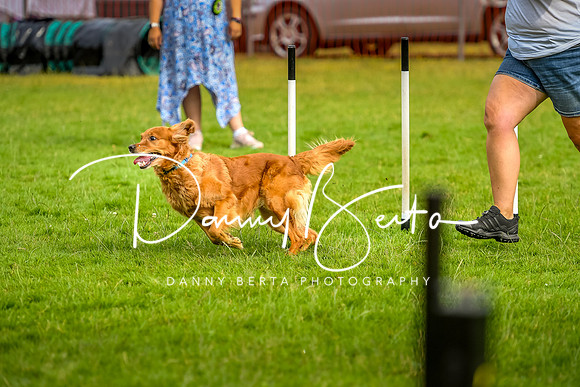 DAN_6119