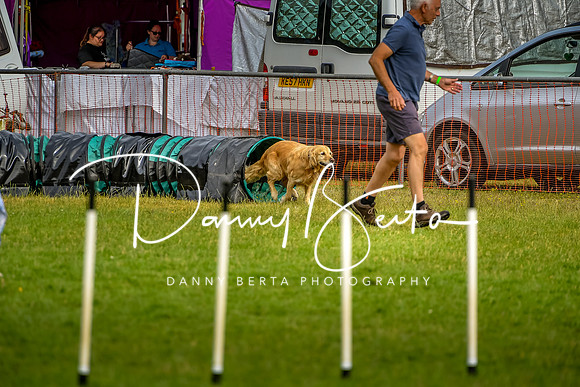 DAN_6151