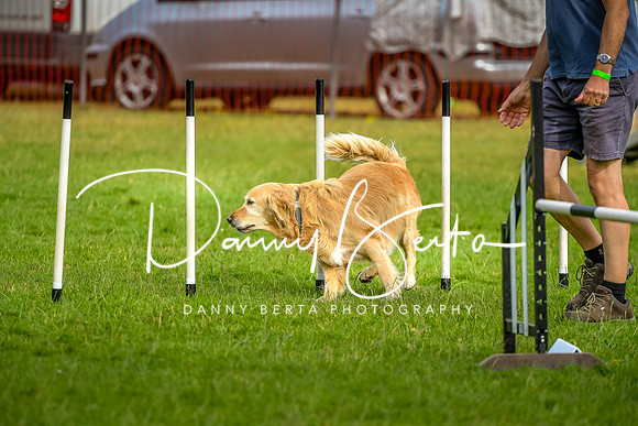 DAN_6137