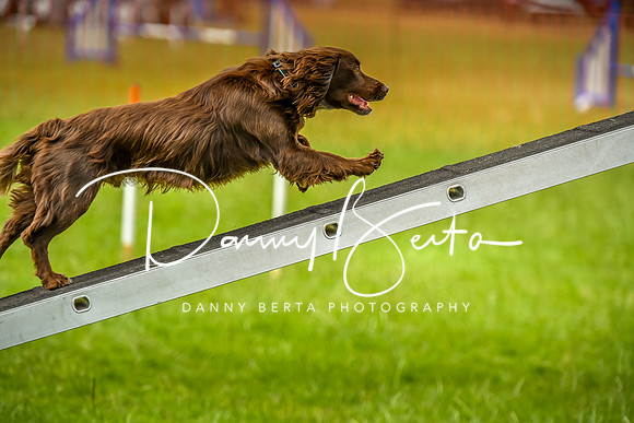 DAN_0160
