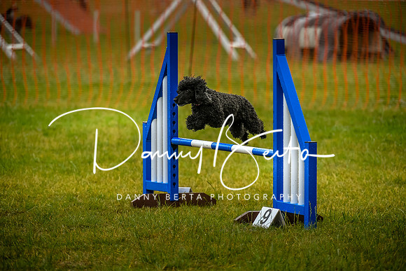 DAN_4097