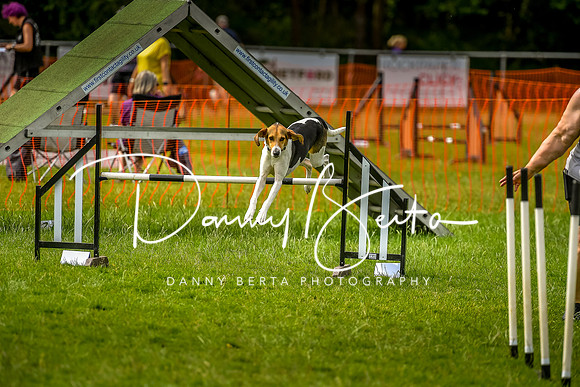 DAN_7000