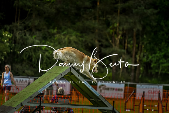 DAN_7051