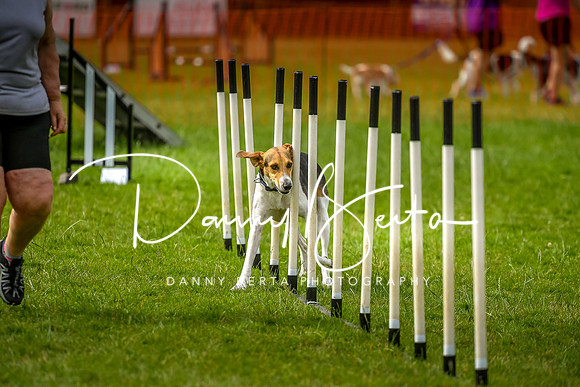 DAN_7008
