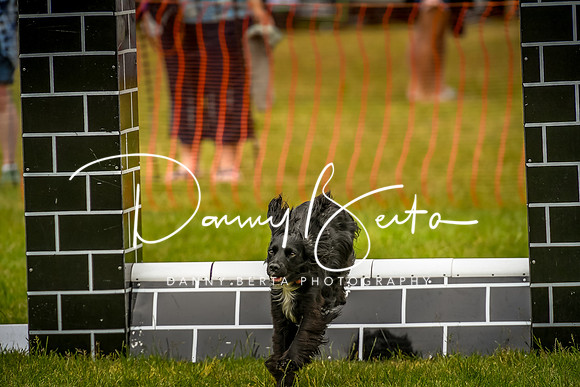 DAN_0634