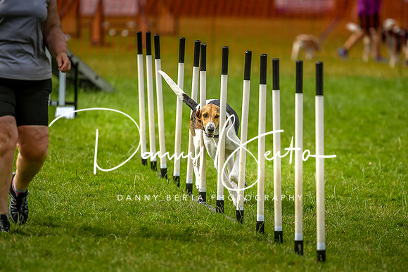 DAN_7009