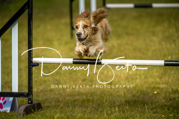 DAN_9058