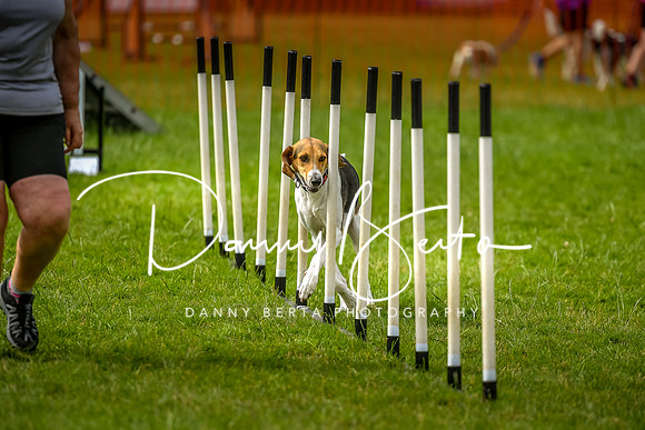 DAN_7010