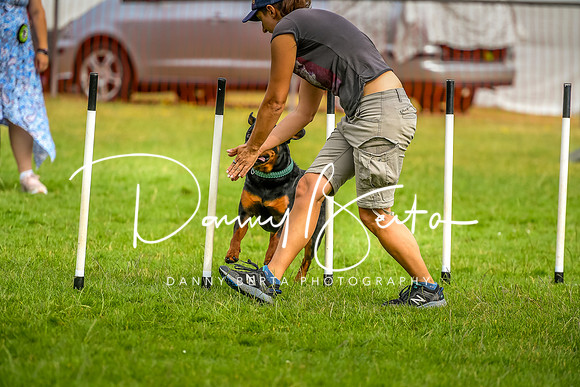 DAN_6167