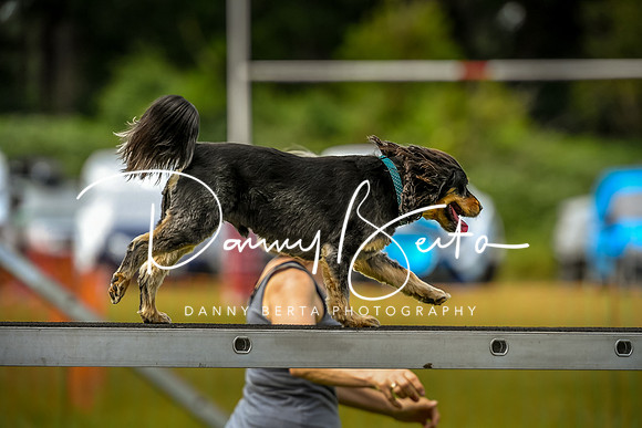 DAN_0148