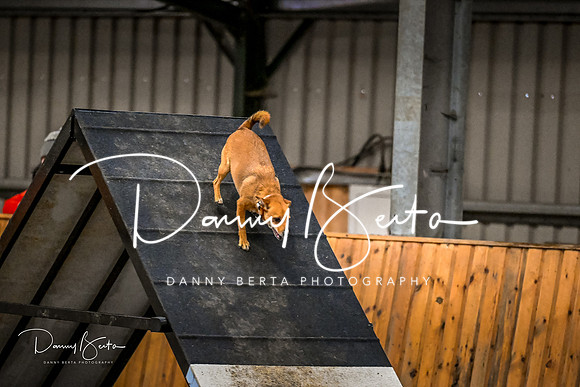 DAN_1825