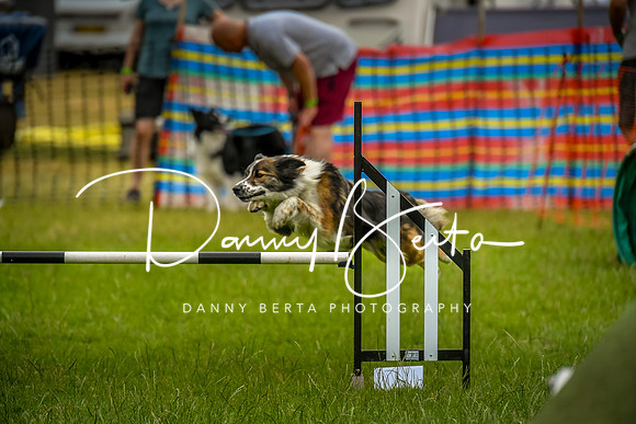 DAN_9779