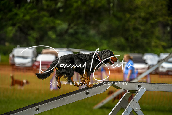 DAN_0105